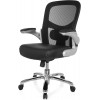 Biuro kėdė Instructor XXL (juoda / sidabrinė)