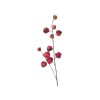 2-jų dirbtinių gėlių komplektas Physalis