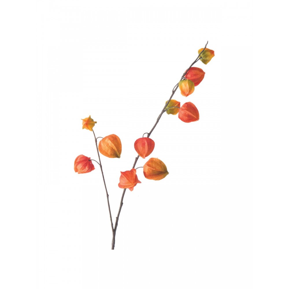 2-jų dirbtinių gėlių komplektas Physalis 2-jų dirbtinių gėlių komplektas Physalis