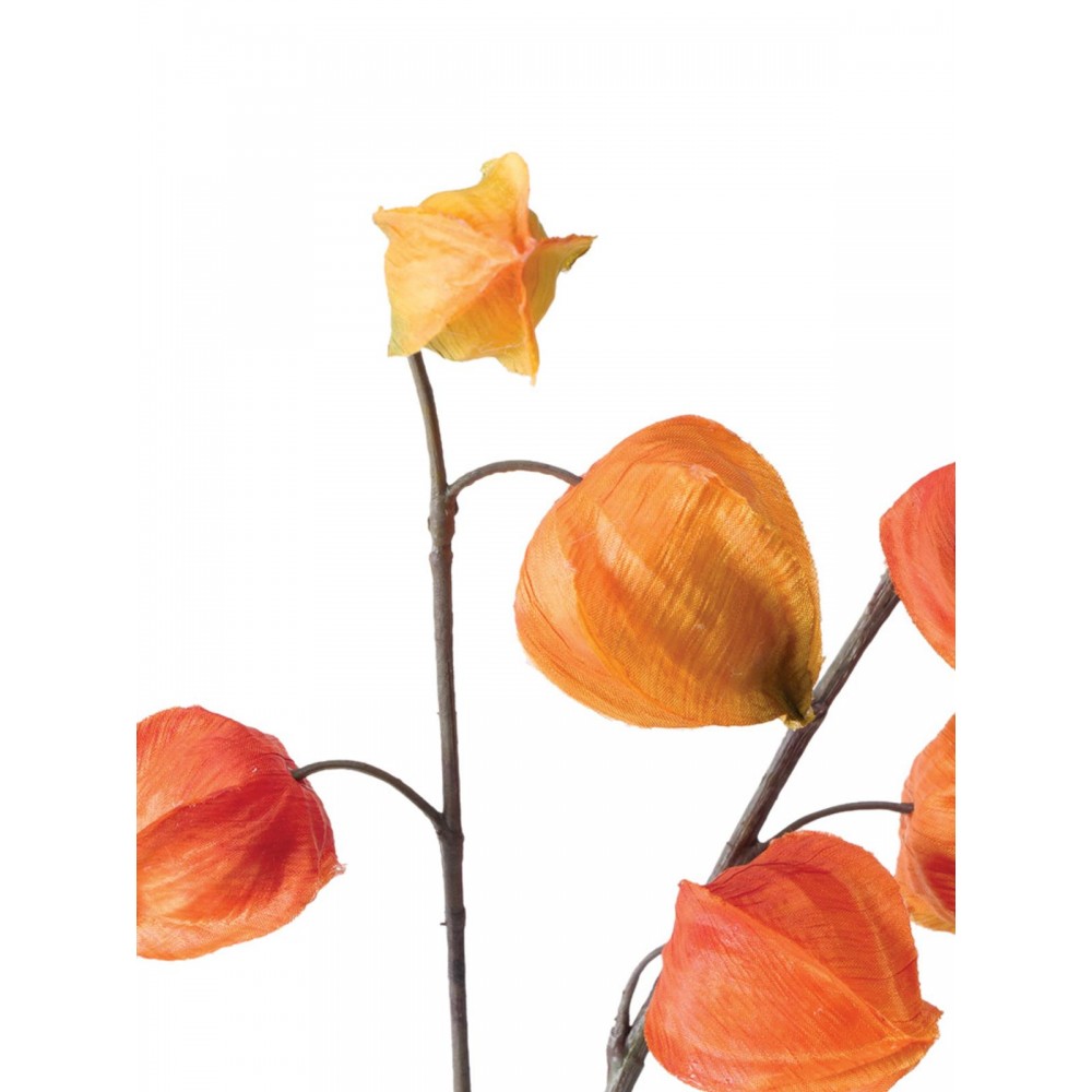 2-jų dirbtinių gėlių komplektas Physalis 2-jų dirbtinių gėlių komplektas Physalis