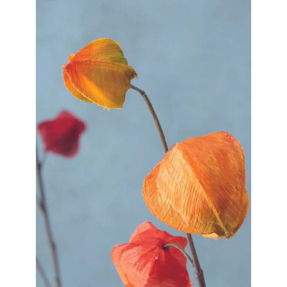 2-jų dirbtinių gėlių komplektas Physalis 2-jų dirbtinių gėlių komplektas Physalis
