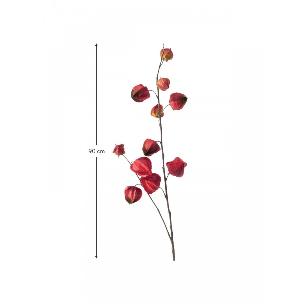 2-jų dirbtinių gėlių komplektas Physalis 2-jų dirbtinių gėlių komplektas Physalis