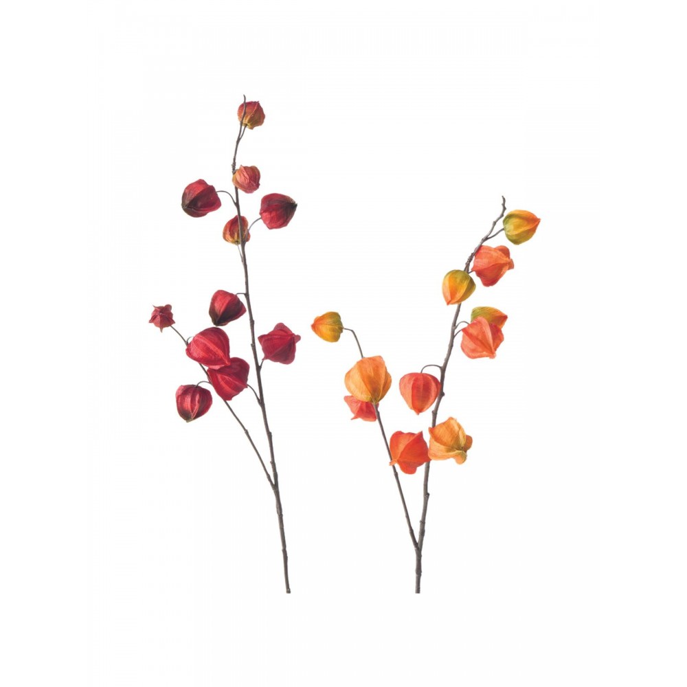 2-jų dirbtinių gėlių komplektas Physalis 2-jų dirbtinių gėlių komplektas Physalis